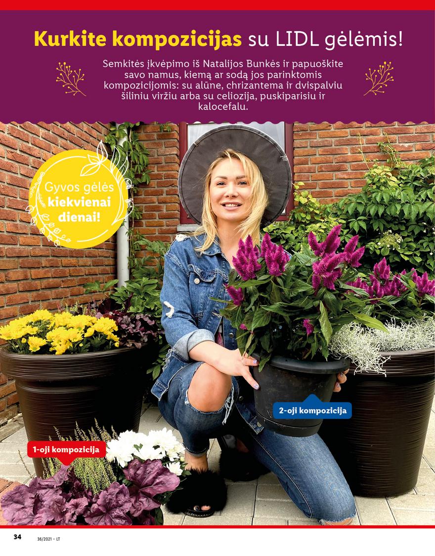 Lidl maisto prekių pasiūlymai akcijos nuo 
  2021-09-06 iki 
  2021-09-12 | Leidinukas.lt puslapis 34