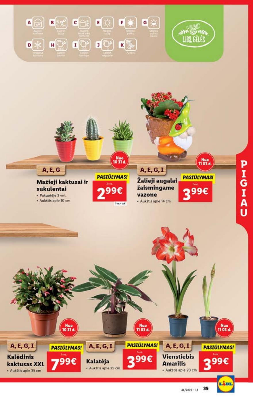 Ldil maisto leidinys akcijos nuo 
  2022-10-31 iki 
  2022-11-06 | Leidinukas.lt puslapis 35