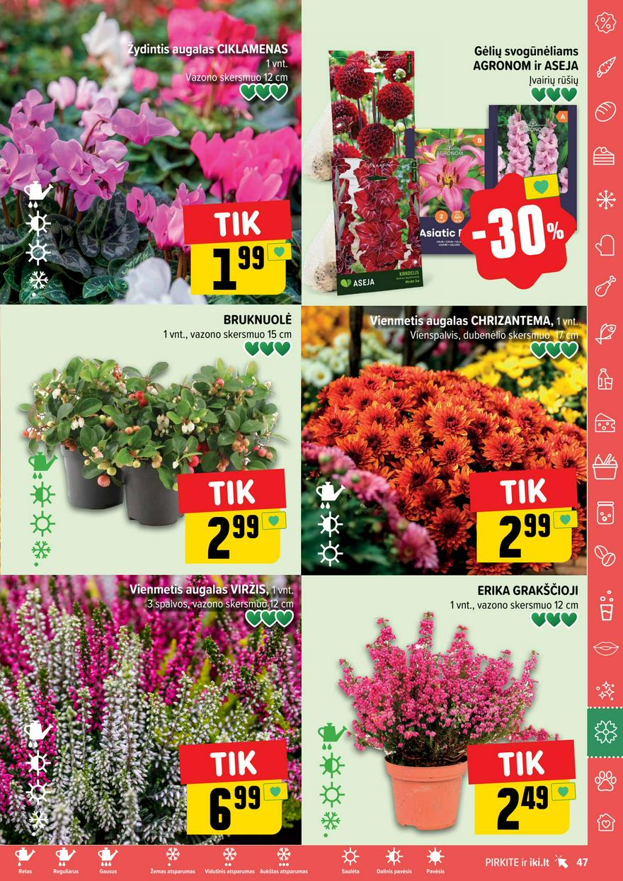 Iki leidinys 39 akcijos nuo
2024-09-16 iki
2024-09-22 | Leidinukas.lt puslapis 47