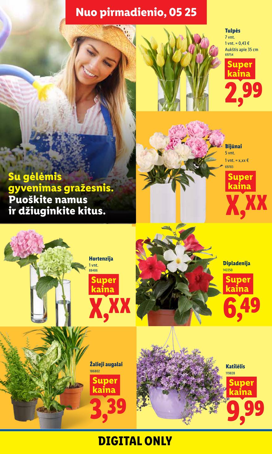 Lidl leidinys naujas akcijos nuo 
  2026-05-25 iki 
  2026-05-31 | Leidinukas.lt puslapis 6