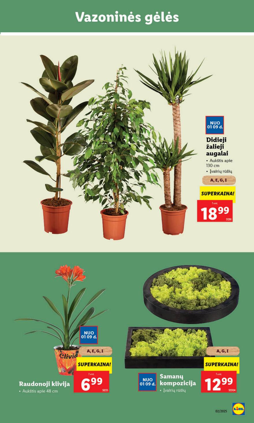 Lidl leidinys akcijos nuo 
  2025-01-06 iki 
  2025-01-12 | Leidinukas.lt puslapis 39
