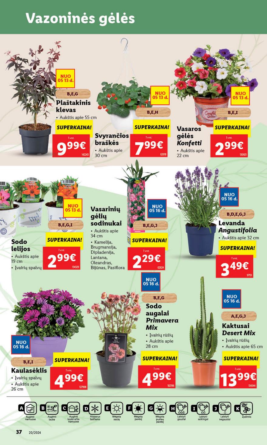 Lidl leidinys akcijos nuo 
  2024-05-13 iki 
  2024-05-19 | Leidinukas.lt puslapis 37