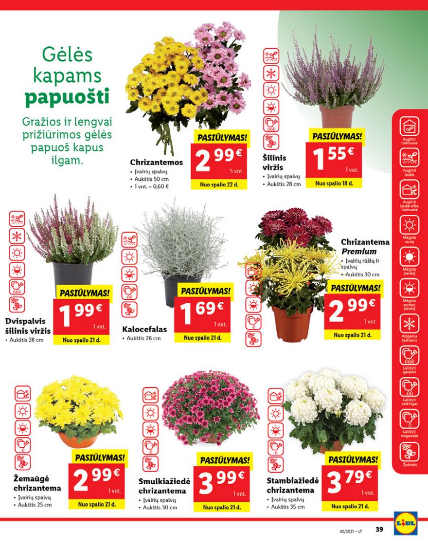 Lidl pasiūlymai akcijos nuo 
  2021-10-18 iki 
  2021-10-24 | Leidinukas.lt puslapis 39