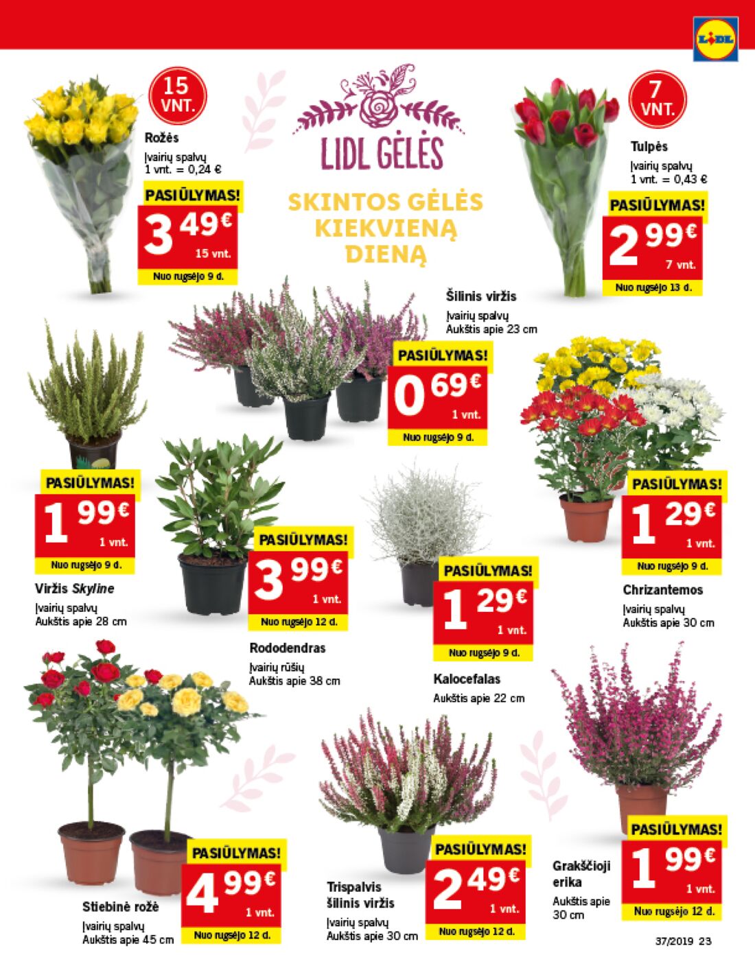 Lidl savaitinis leidinys akcijos nuo 
  2019-09-09 iki 
  2019-09-15 | Leidinukas.lt puslapis 23