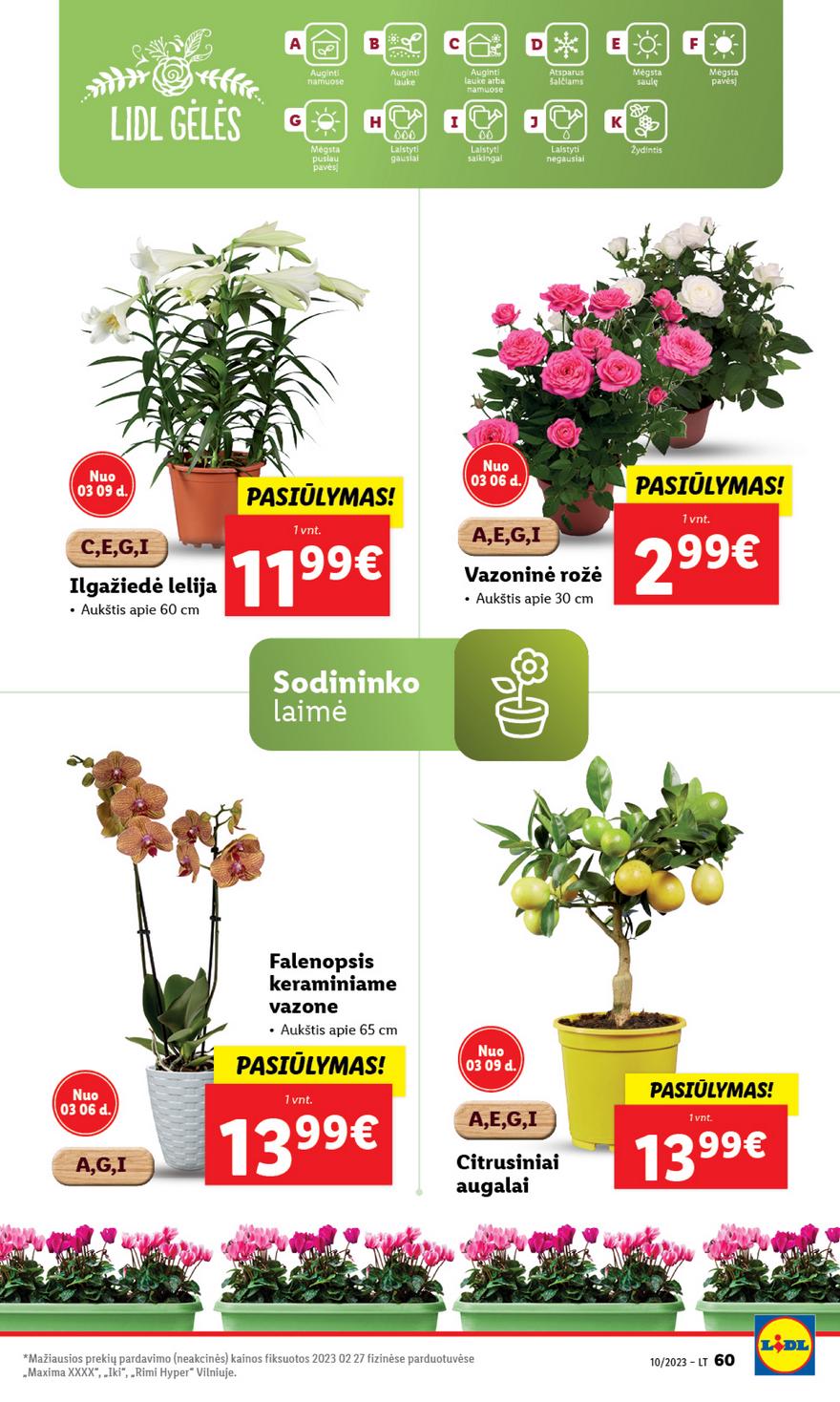 Lidl pasiūlymai akcijos nuo 
  2023-03-03 iki 
  2023-03-12 | Leidinukas.lt puslapis 60