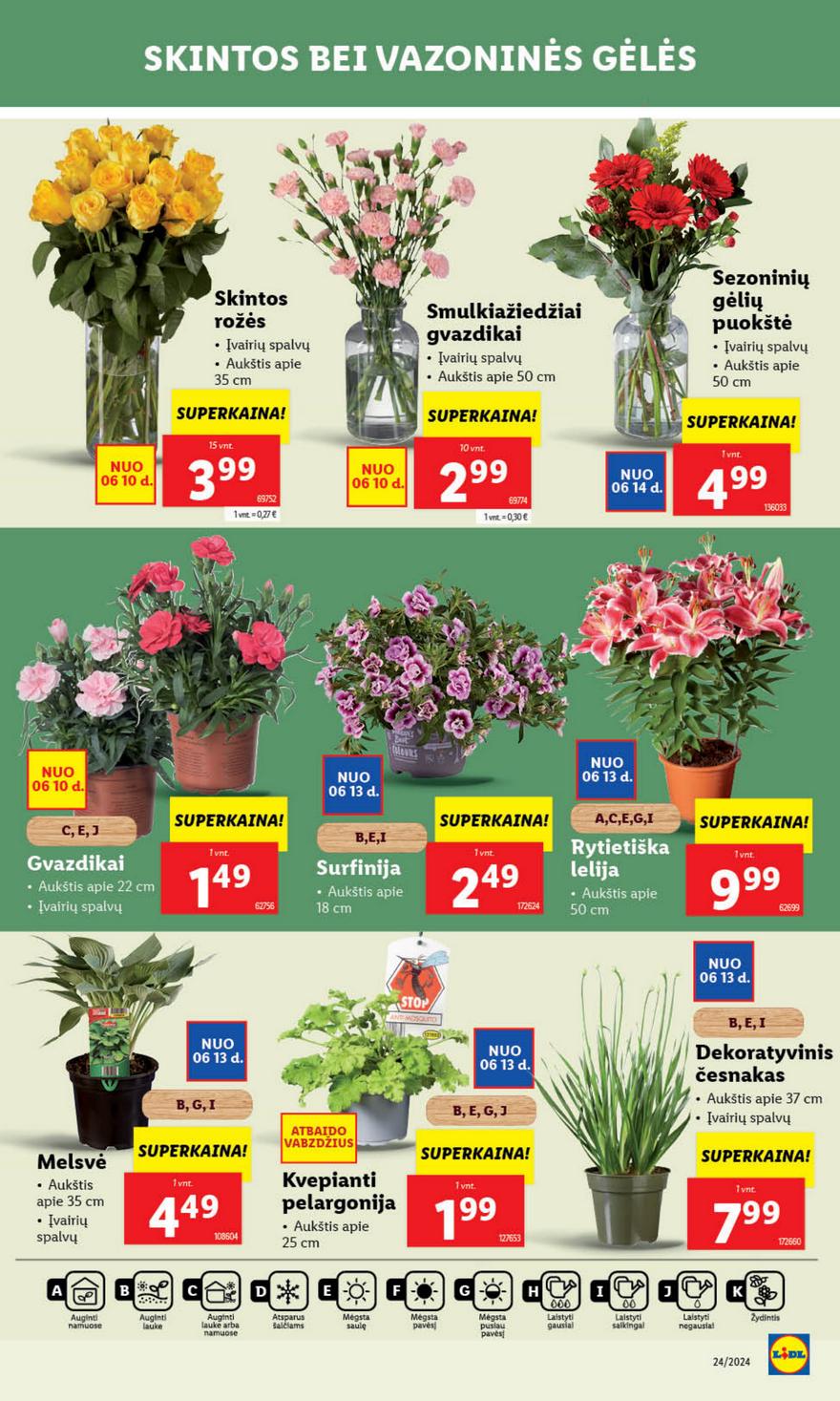 Lidl leidinys naujas akcijos nuo 
  2024-06-10 iki 
  2024-06-16 | Leidinukas.lt puslapis 39