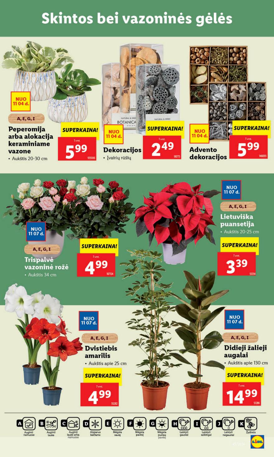 Lidl leidinys naujas akcijos nuo 
  2024-11-04 iki 
  2024-11-10 | Leidinukas.lt puslapis 45