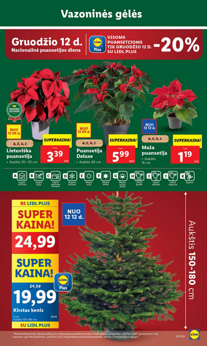 Lidl leidinys naujas akcijos nuo 
  2024-12-09 iki 
  2024-12-15 | Leidinukas.lt puslapis 42