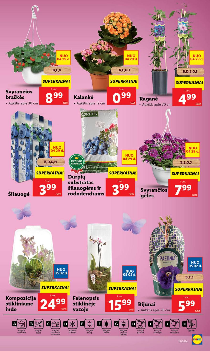 Lidl leidinys akcijos nuo 
  2024-04-29 iki 
  2024-05-05 | Leidinukas.lt puslapis 9