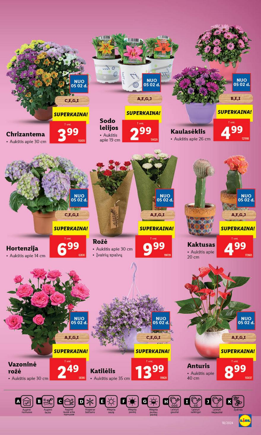 Lidl leidinys akcijos nuo 
  2024-04-29 iki 
  2024-05-05 | Leidinukas.lt puslapis 10