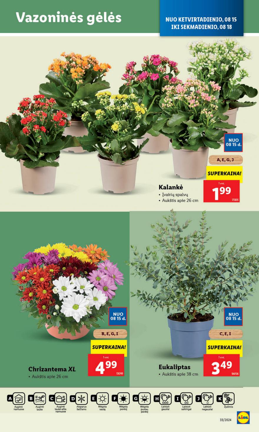 Lidl leidinys akcijos nuo 
  2024-08-12 iki 
  2024-08-18 | Leidinukas.lt puslapis 37