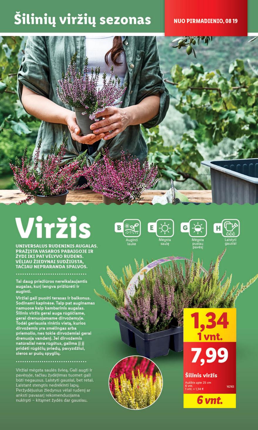 Lidl leidinys akcijos nuo 
  2024-08-19 iki 
  2024-08-25 | Leidinukas.lt puslapis 39