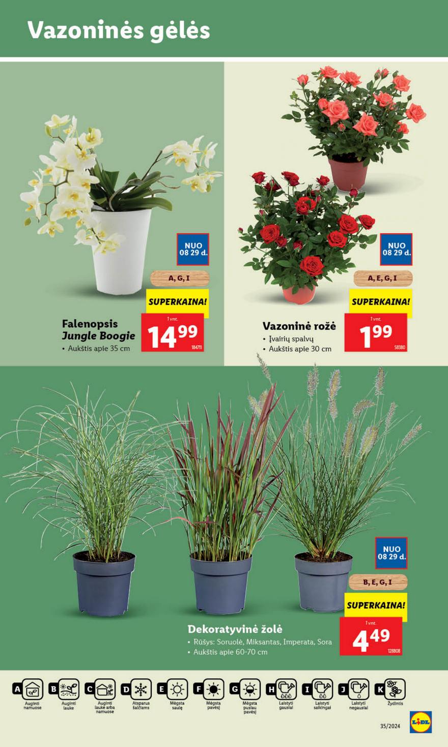 Lidl leidinys akcijos nuo 
  2024-08-26 iki 
  2024-09-01 | Leidinukas.lt puslapis 37