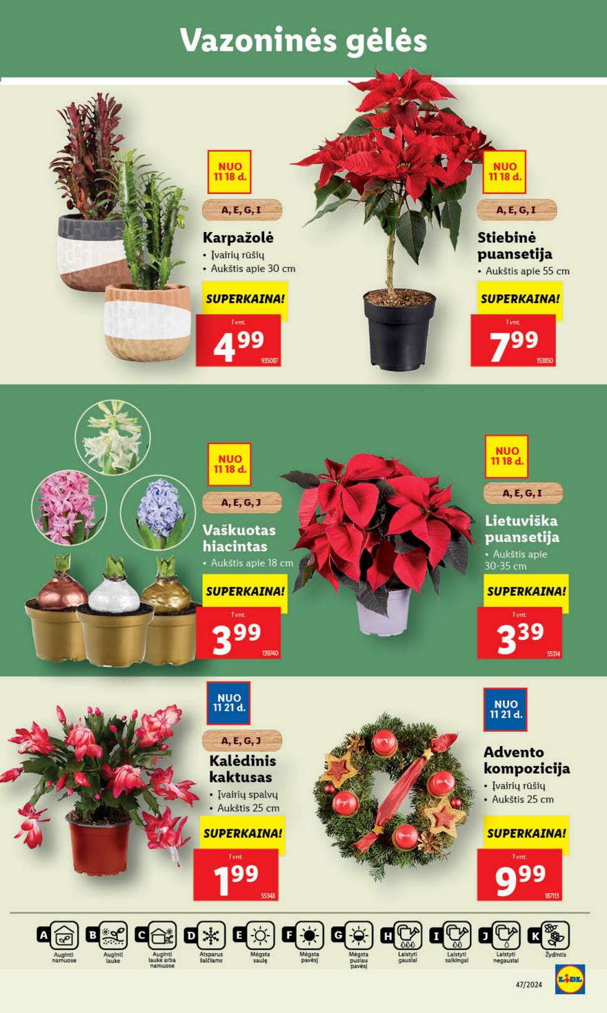 Lidl leidinys akcijos nuo 
  2024-11-18 iki 
  2024-11-24 | Leidinukas.lt puslapis 37