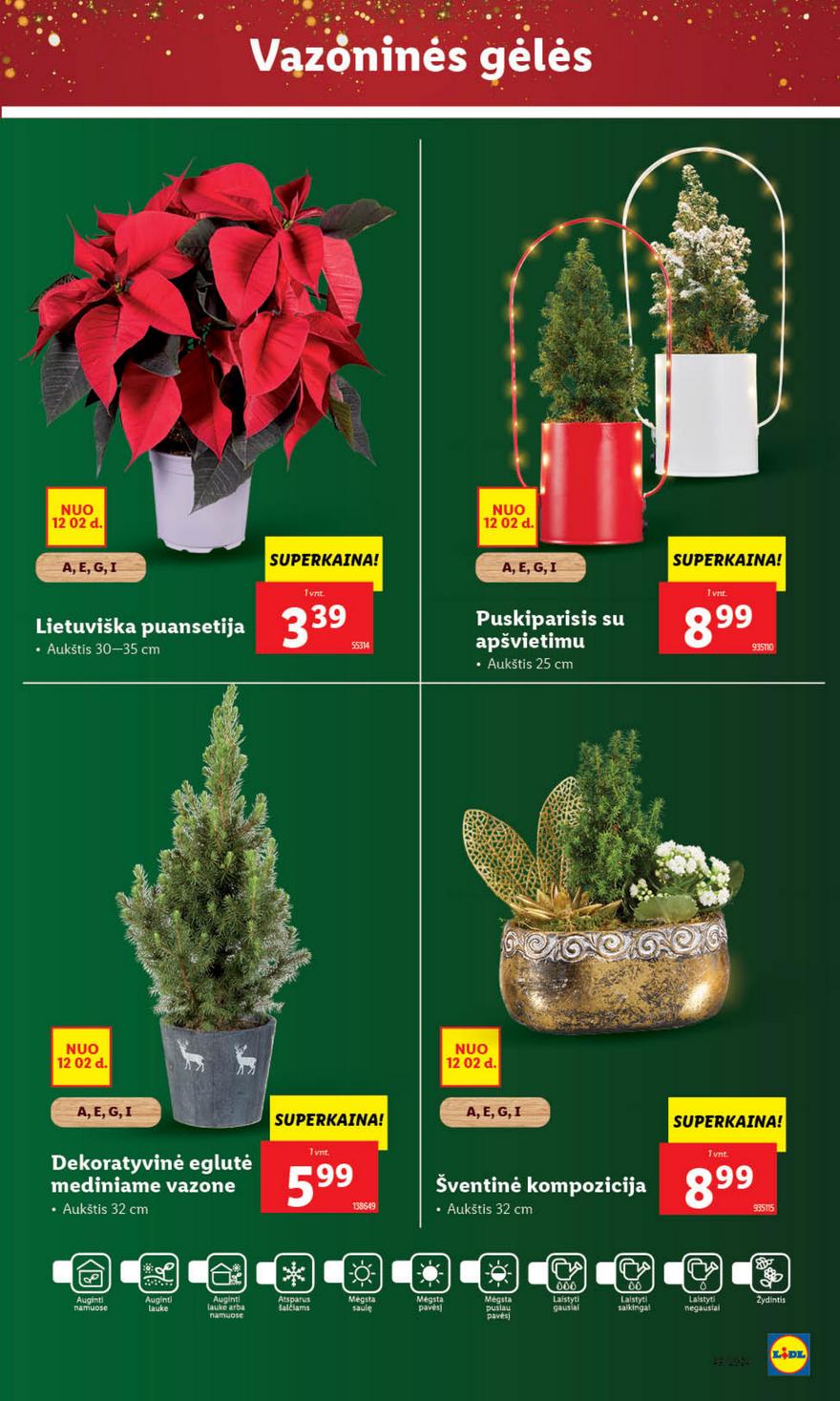 Lidl leidinys akcijos nuo 
  2024-12-02 iki 
  2024-12-08 | Leidinukas.lt puslapis 37