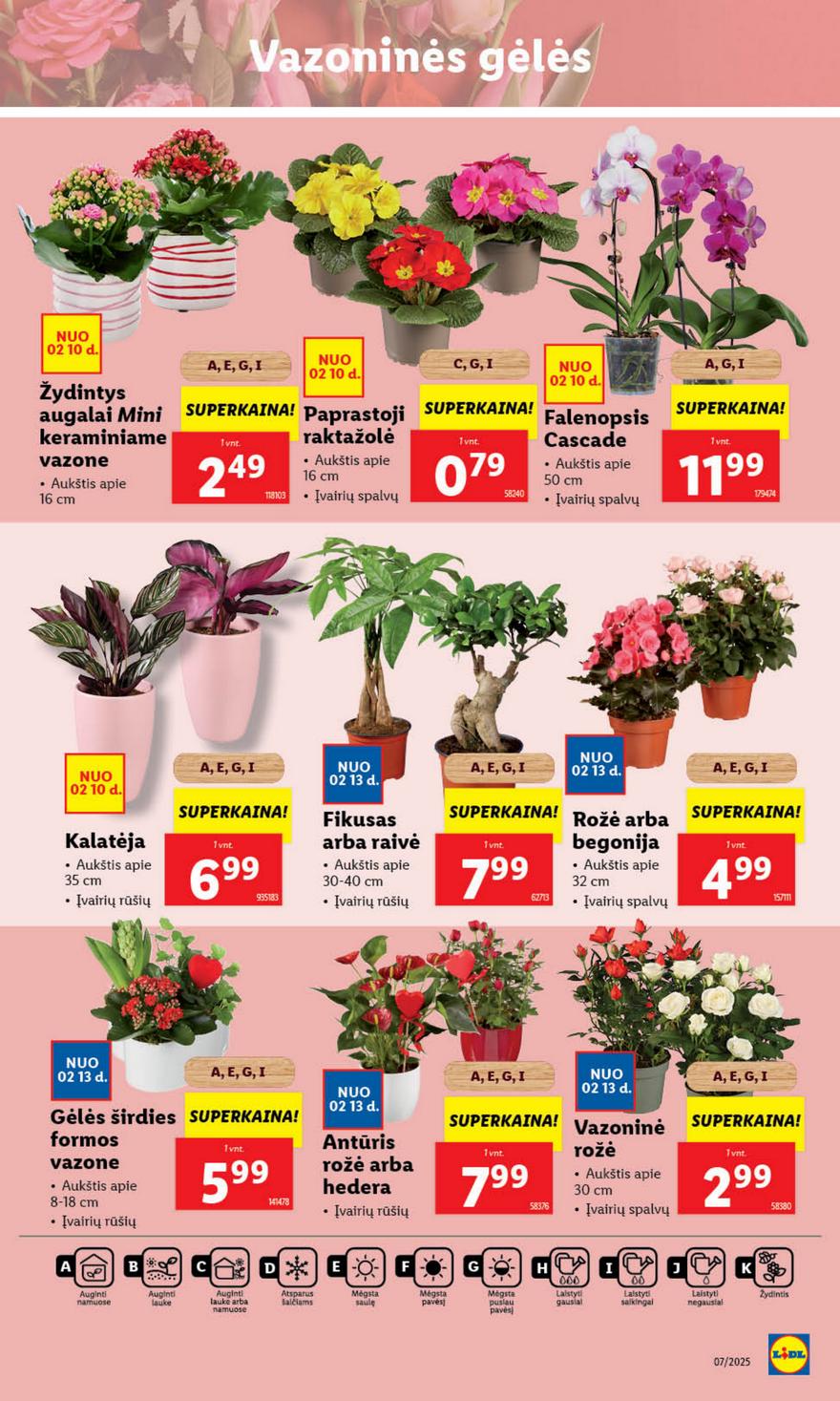 Lidl leidinys akcijos nuo 
  2025-02-10 iki 
  2025-02-16 | Leidinukas.lt puslapis 37