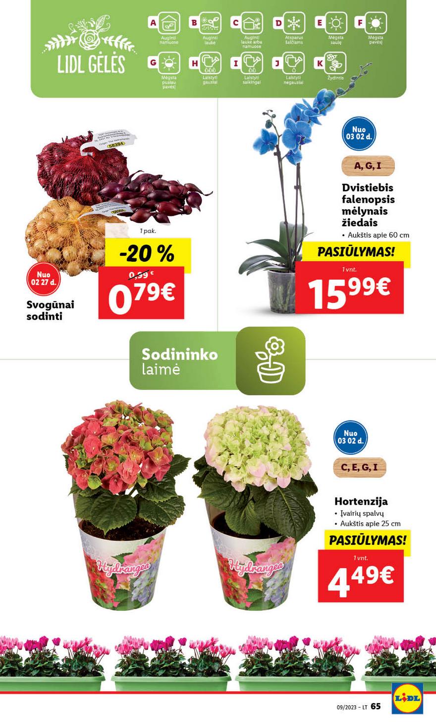 Lidl maisto prekių leidinys akcijos nuo 
  2023-02-27 iki 
  2023-03-05 | Leidinukas.lt puslapis 65