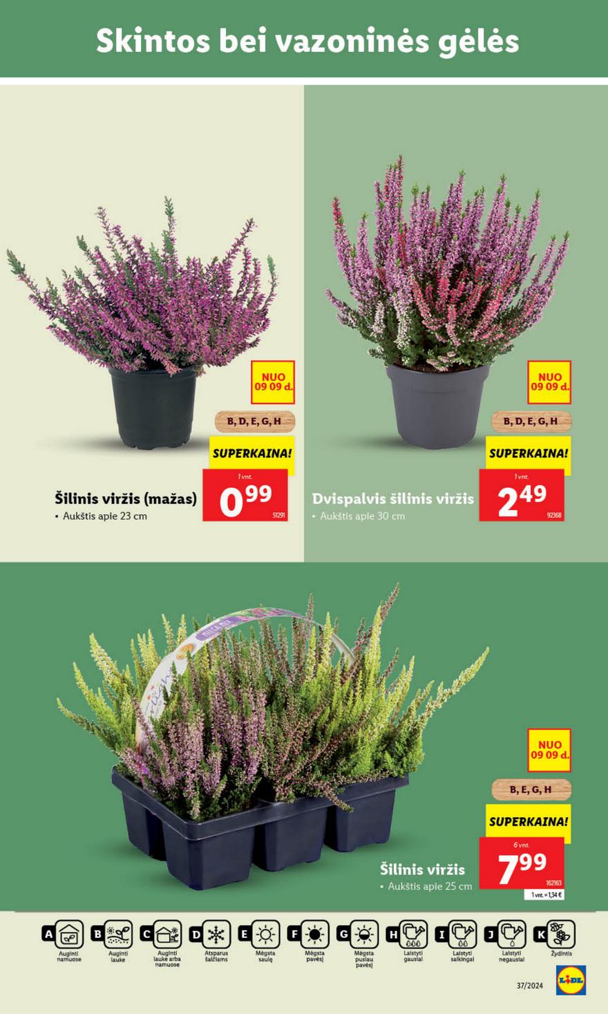 Lidl savaitinis leidinys akcijos nuo 
  2024-09-09 iki 
  2024-09-15 | Leidinukas.lt puslapis 34